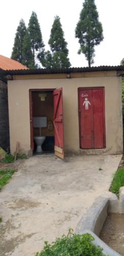 Toilet for physically challenged
